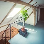 Timhouse 3* Timișoara