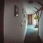 Timhouse Pensjonat Timișoara
