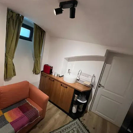 Timhouse Pensiune Timişoara