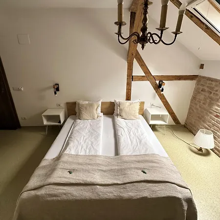 Guest house Timhouse Timisoara