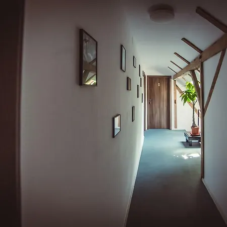 Timhouse Гостьовий будинок Тімішоара