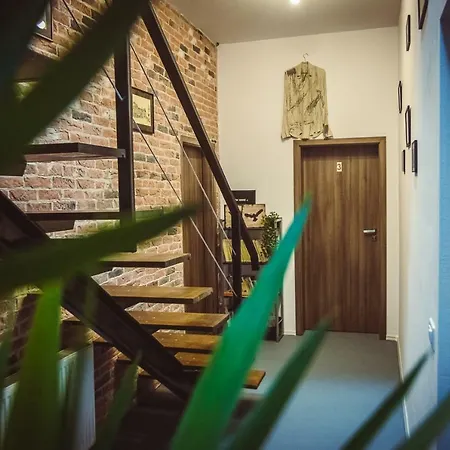 Timhouse 招待所