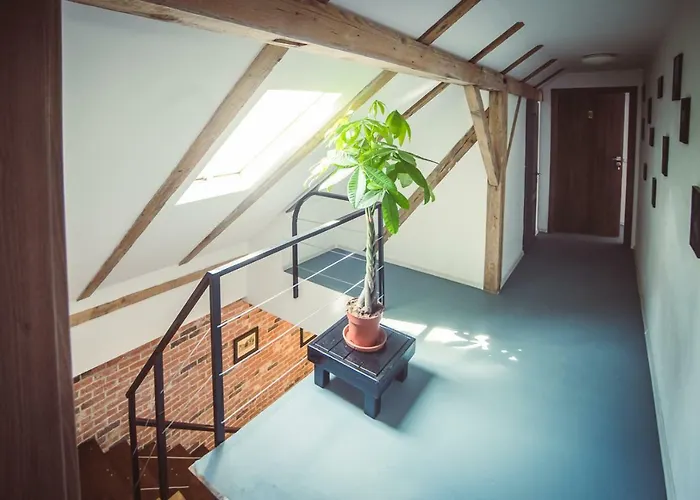 Timhouse 3* Temesvár