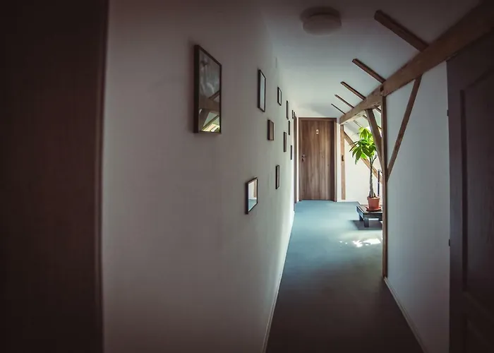 Timhouse Vendégház Temesvár