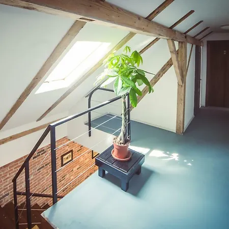 Timhouse 3* Timişoara